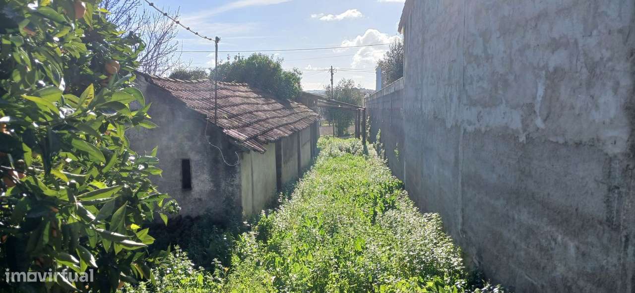 Quinta para restaurar na freguesia de Chãos-29