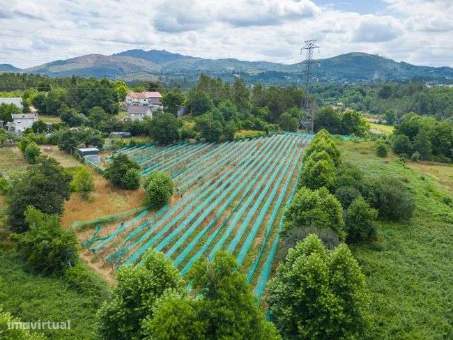 Terreno Agrícola - Figueiredo, Amares-8