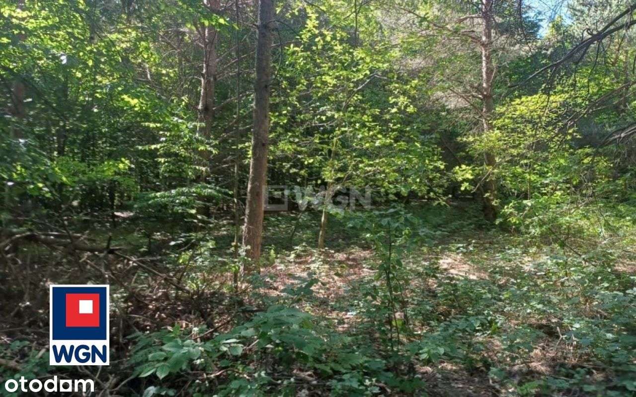 Działka, 2 600 m², Podlesice - Pełny obrazek: 4/10