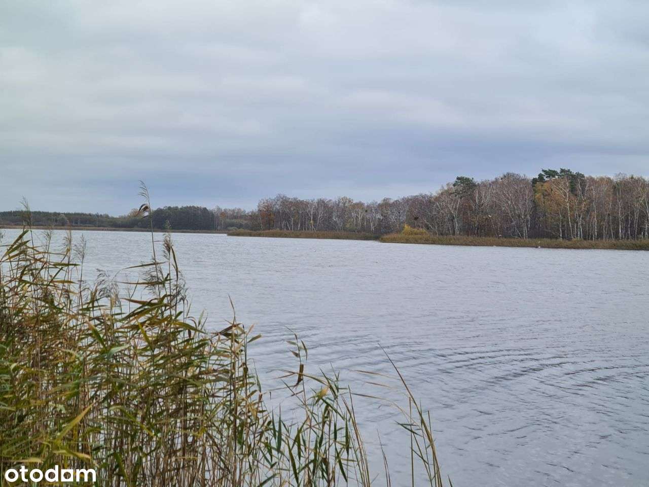 Działka budowlana nad jeziorem Będzin!-2