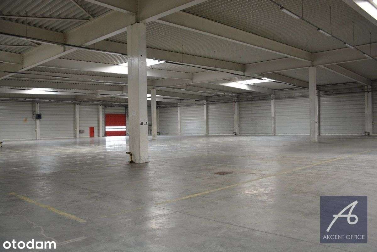 Nowoczesna Hala Magazynowa - Pełny obrazek: 4/7