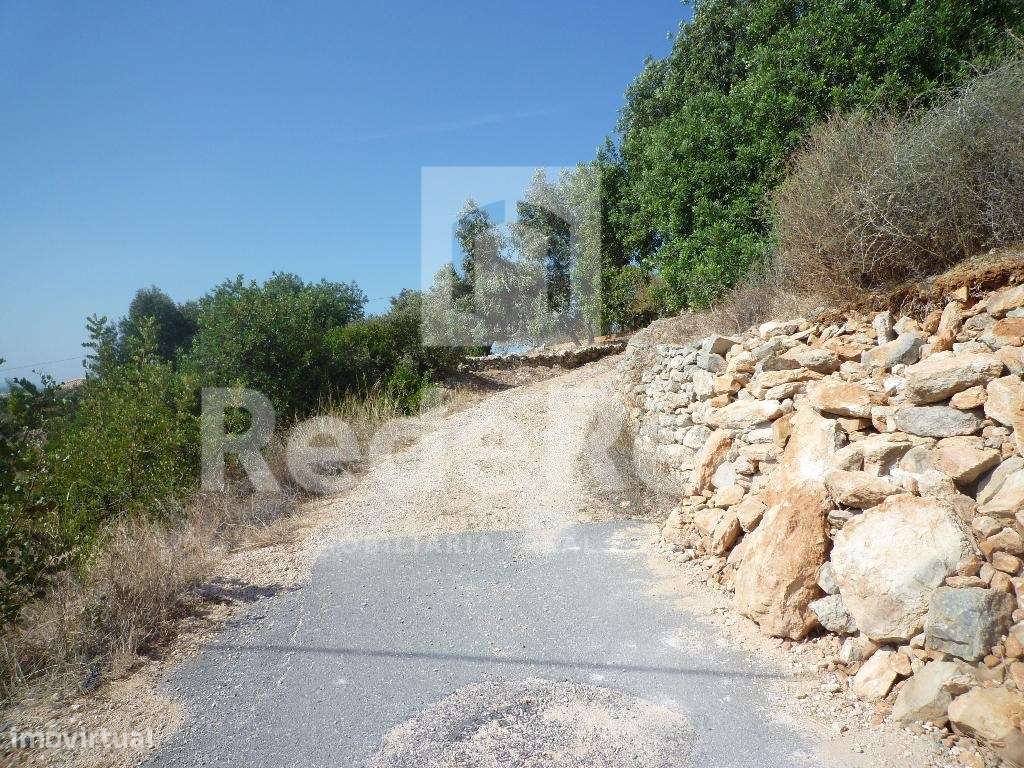 Terreno rústico, Loulé, Algarve. - Grande imagem: 3/6