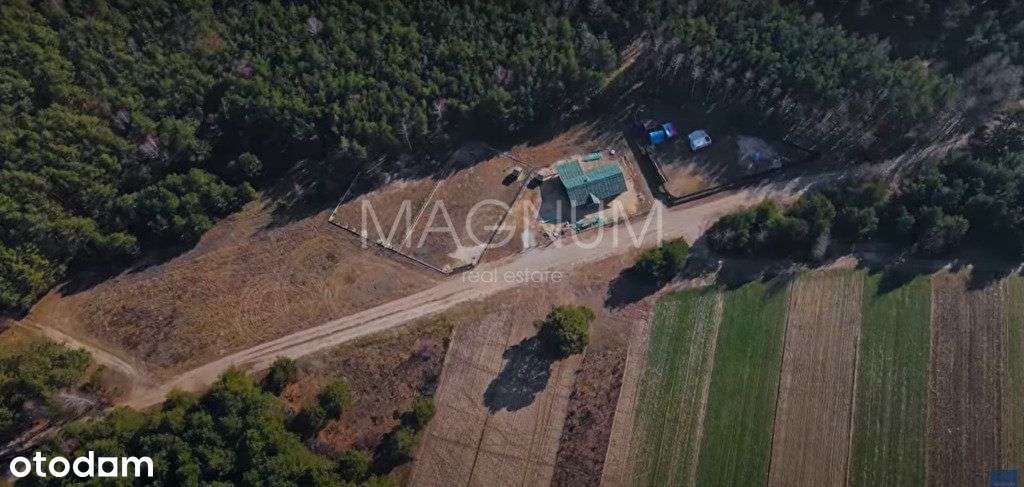 Działka z lasem pod zabudowę jednorodzinną - Pełny obrazek: 5/13