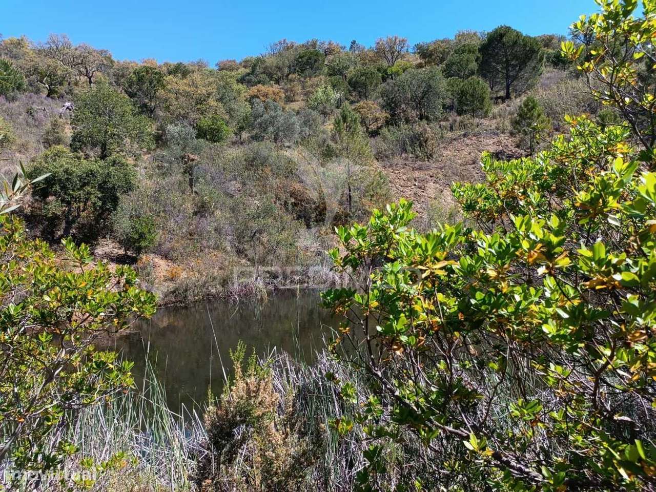 Casa de Campo - Grande imagem: 4/35