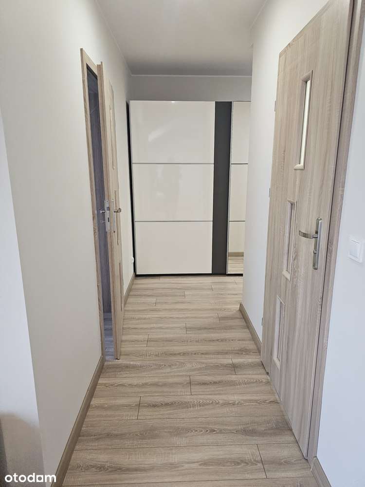 Do Wynajęcia 2 pokojowe Mieszkanie w Lesznie - Pełny obrazek: 4/12