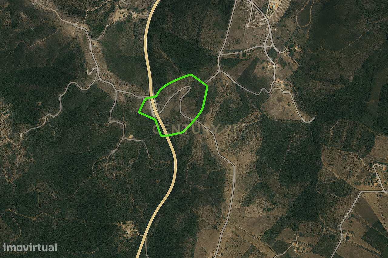 Terreno Rústico com Mais de 8 Hectares — Santana da Serra | À Porta do - Grande imagem: 5/12