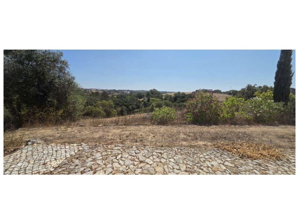 MONTE ALENTEJANO, c/ 47.476m² (Piscina biológica)-41