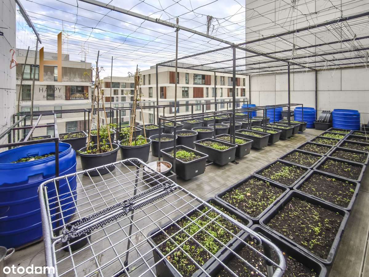 Sprzedam Apartament 129m2 + 58m2 taras + 2 loggie-4