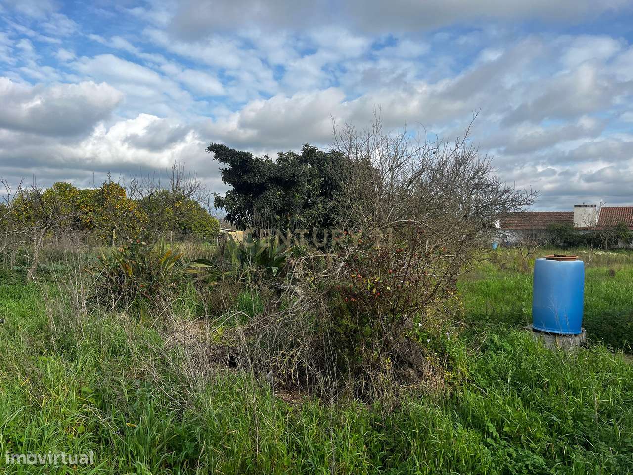 Moradia em ruinas em terreno de 2 304m2 Aroeira/Poceirão e Marateca/Pa - Grande imagem: 5/11
