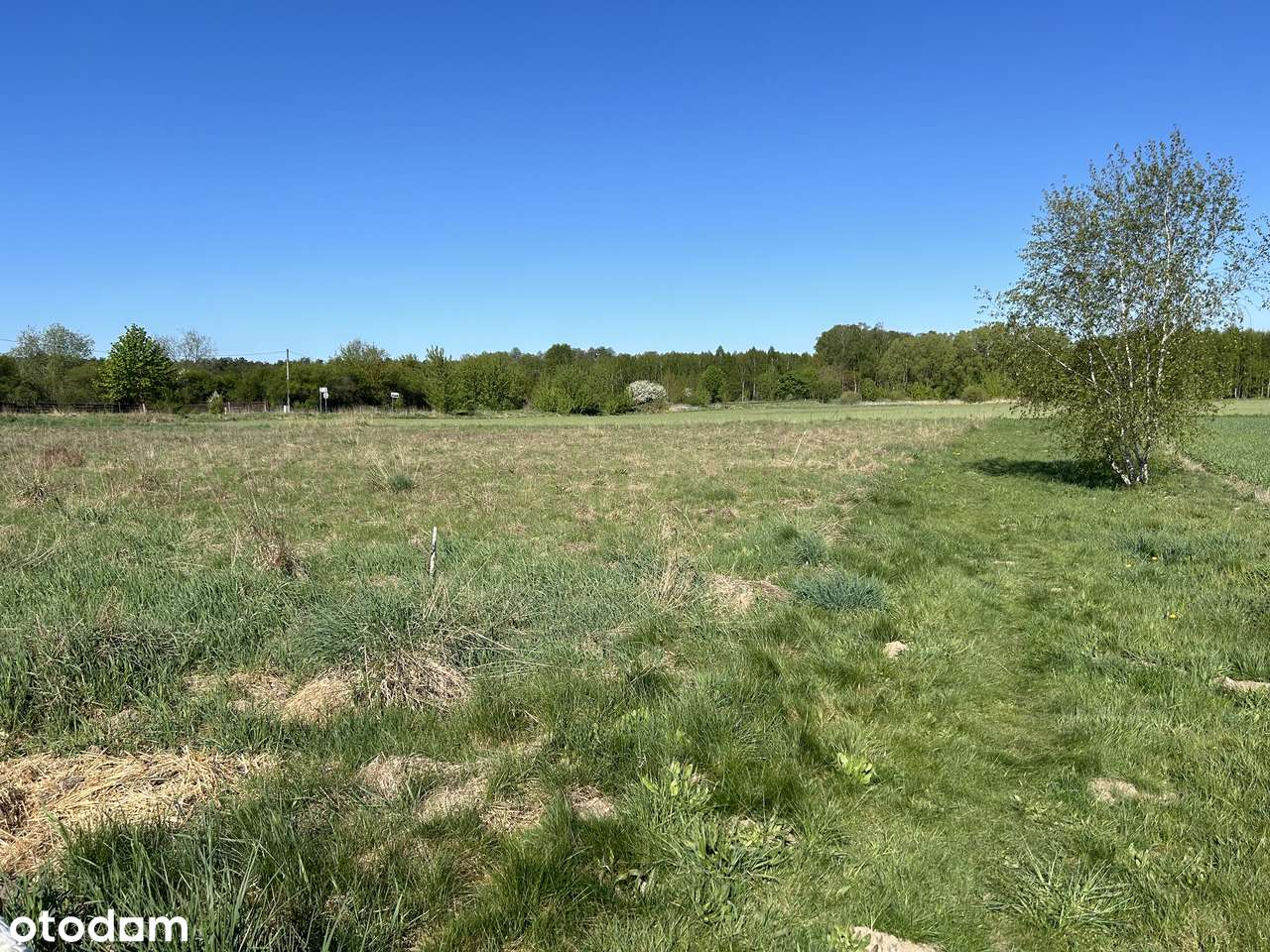 Tarnówko - Atrakcyjnie położona działka z WZ-6