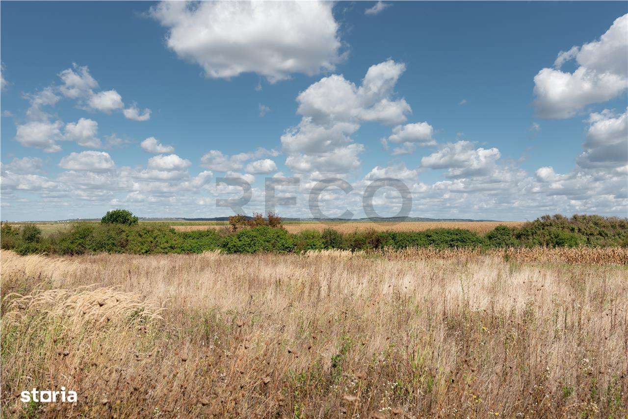 Teren intravilan in Rontau - Imagine principală: 2/7
