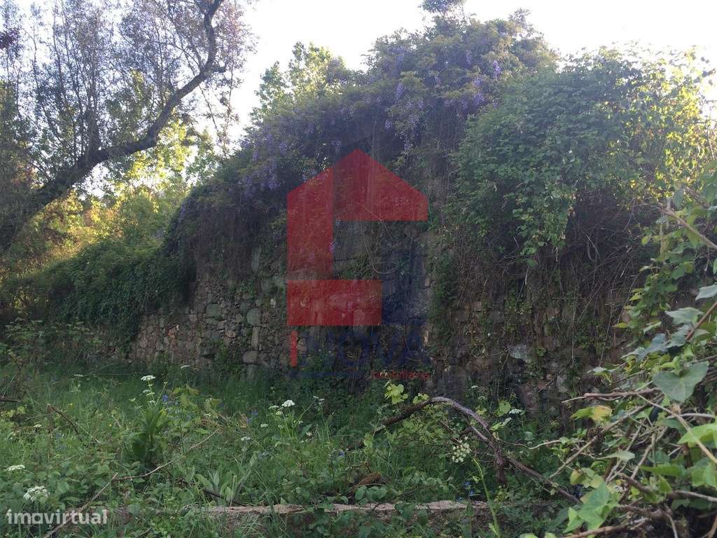 Vende-se Ruina, Carreiras S. Miguel - Grande imagem: 5/12