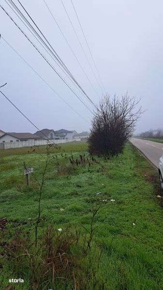 Teren Preajba  5000mp  vis a vis de Pub - Imagine principală: 4/6