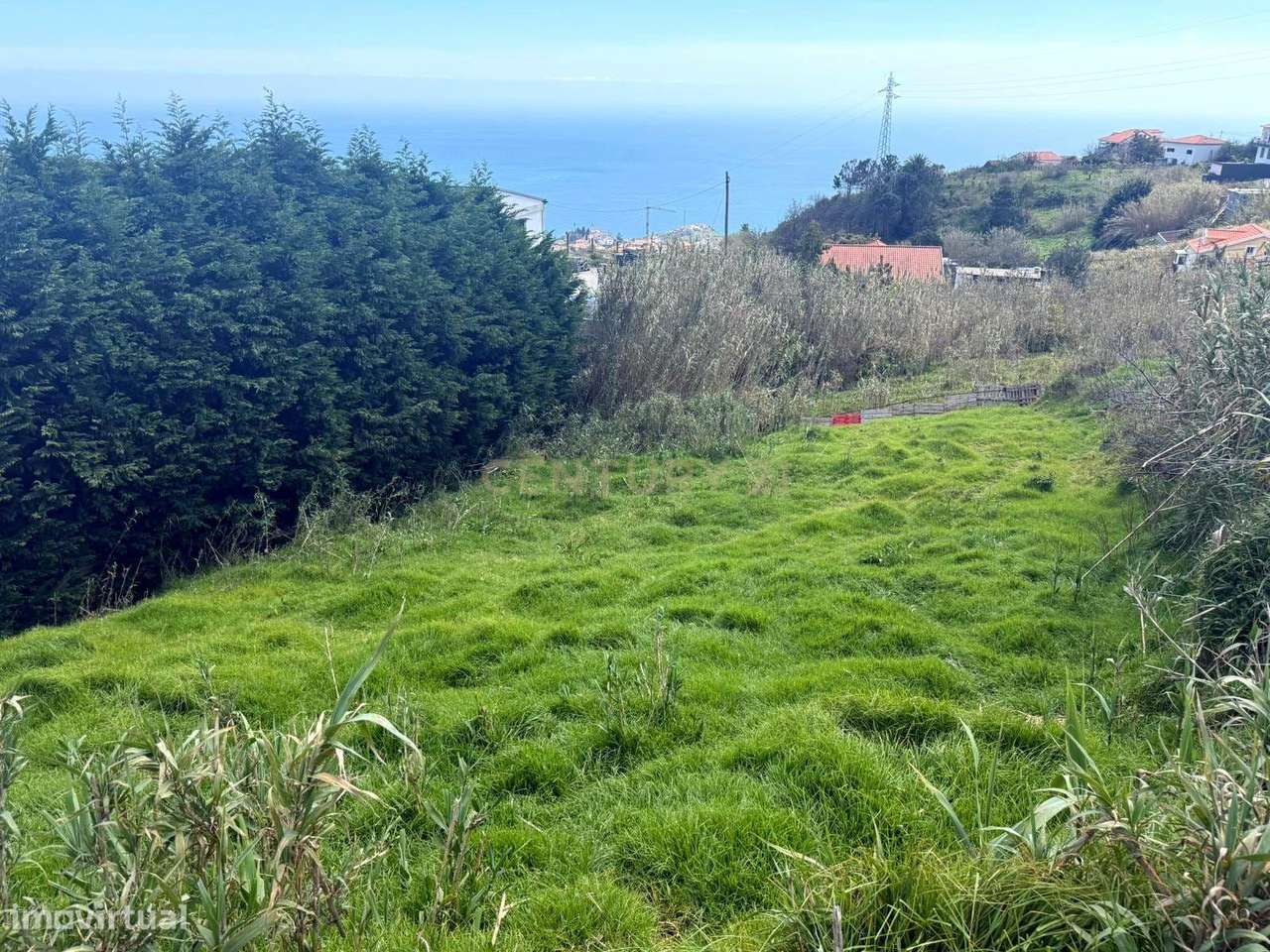 Terreno Rústico com Vista Mar em Canhas, Ponta do Sol - Grande imagem: 4/11