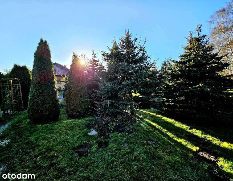 Dom pod samym lasem w Dobrej na dużej działce!-7