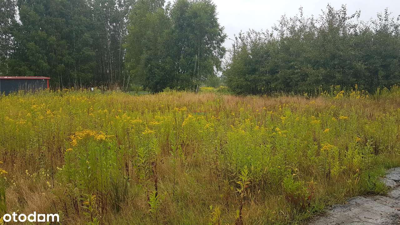 Działka, 1298.0 m², Uwieliny - Pełny obrazek: 3/5