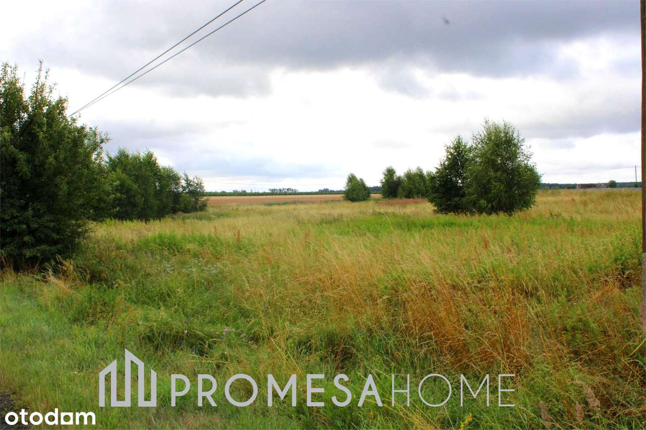 ok. Ostroroga 5400m2 SUPER CENA dojazd asfaltowy !!!! - Pełny obrazek: 5/5