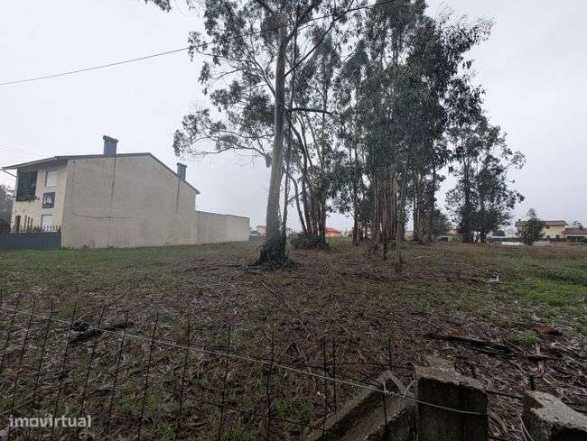 Terreno, 1 800 m², Monte-1