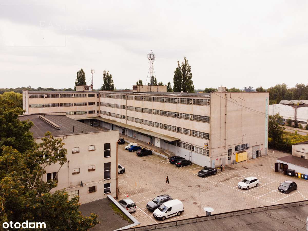 Lokal biurowy 47,7 m² w centrum Gdańska - Pełny obrazek: 1/6