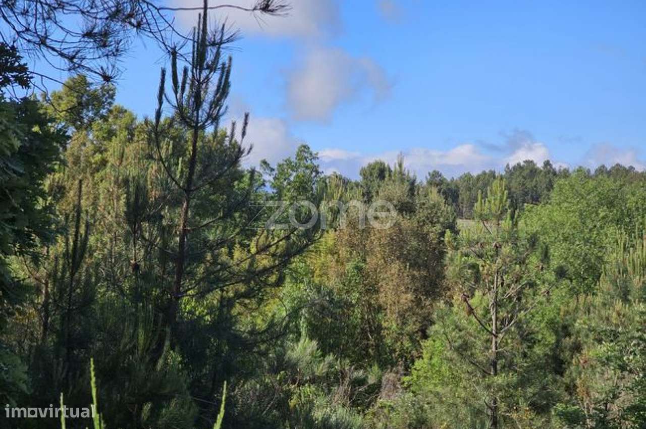 Terreno, 39 100 m², Favaios-21