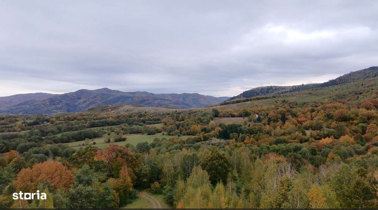 Teren cu energie specială/Fagaras/Plata in max 3 rate-13