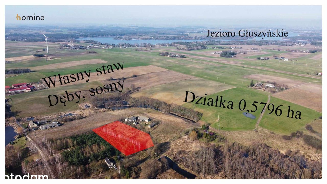 Działka w pobliżu Jeziora Głuszyńskiego, ORLE