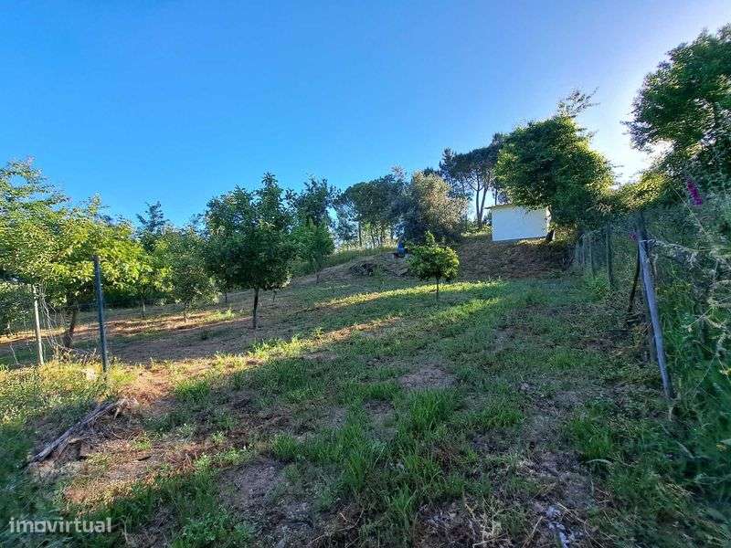 Terreno Agricola - Grande imagem: 5/7