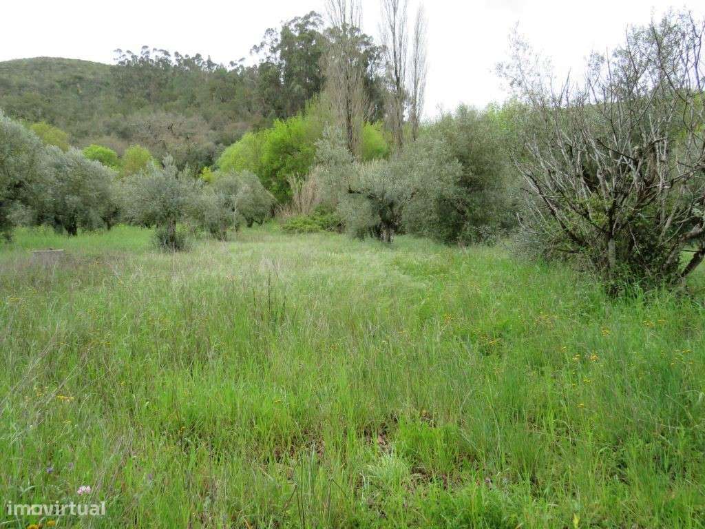 0004 - Grande imagem: 2/3