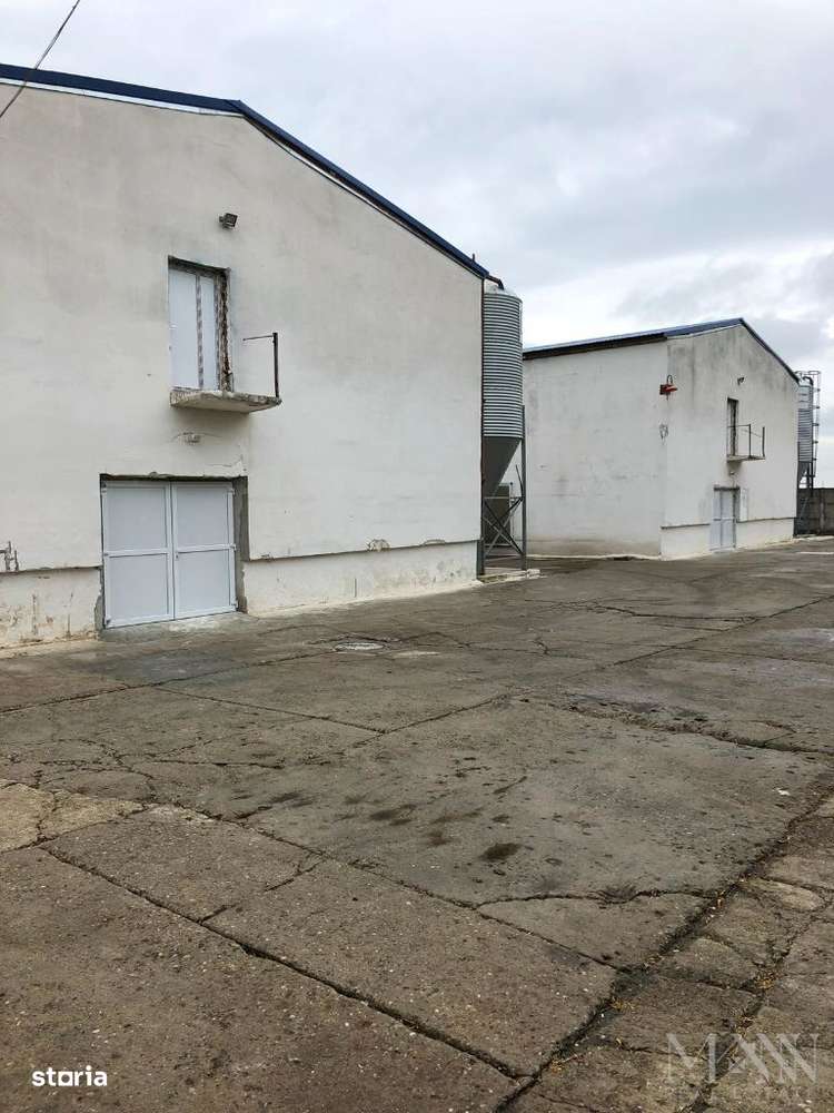 Hala | Spatiu depozitare, productie de inchiriat | Les, Bihor - Imagine principală: 4/11