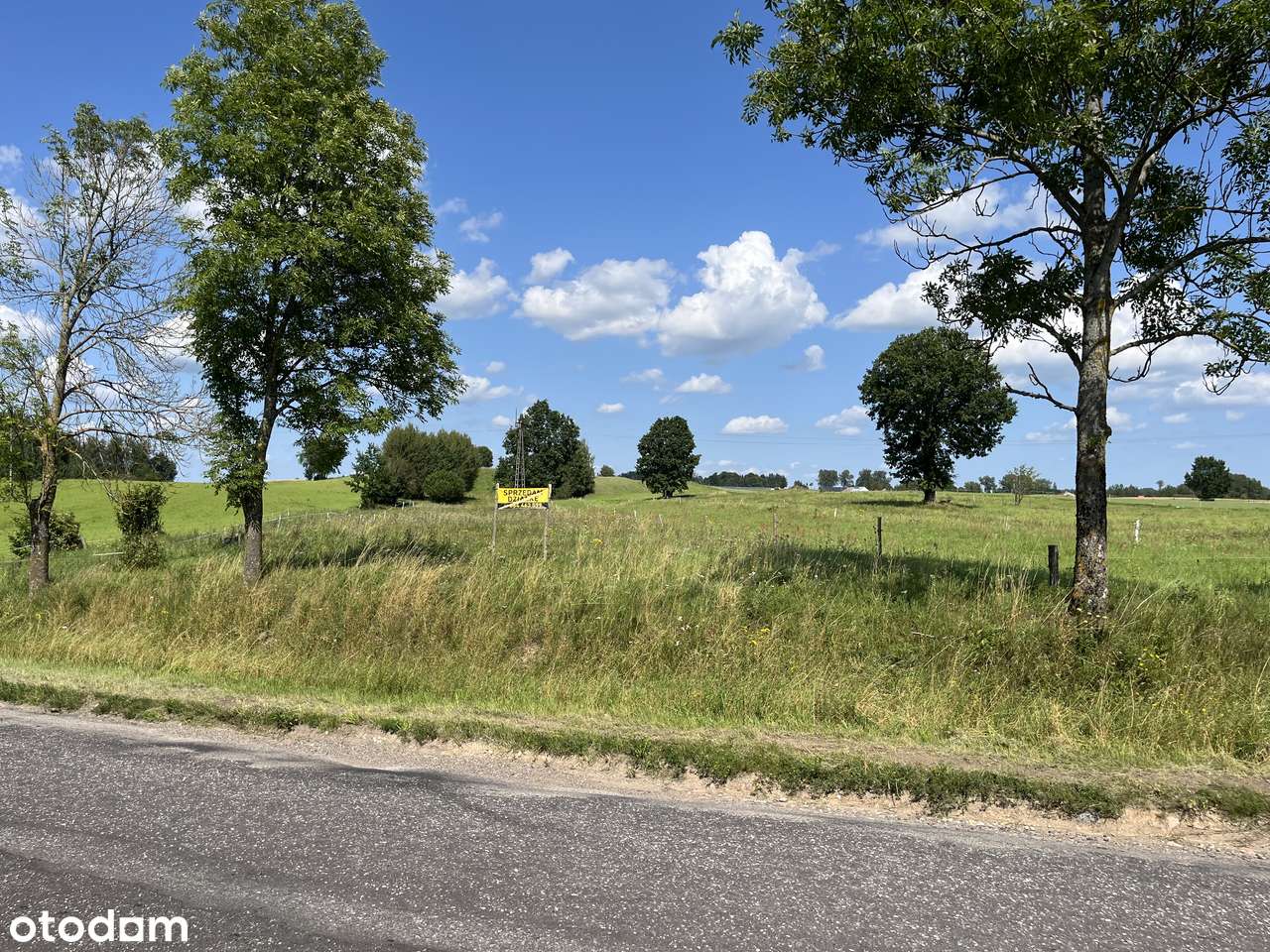 Działka 6444 m² z dostępem do mediów - Pełny obrazek: 4/6