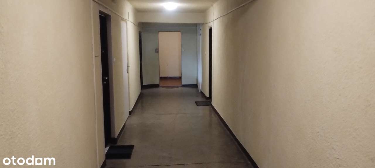 Słoneczne mieszkanie dwu pokojowe z pięknym widokiem. Dla inwestora-9