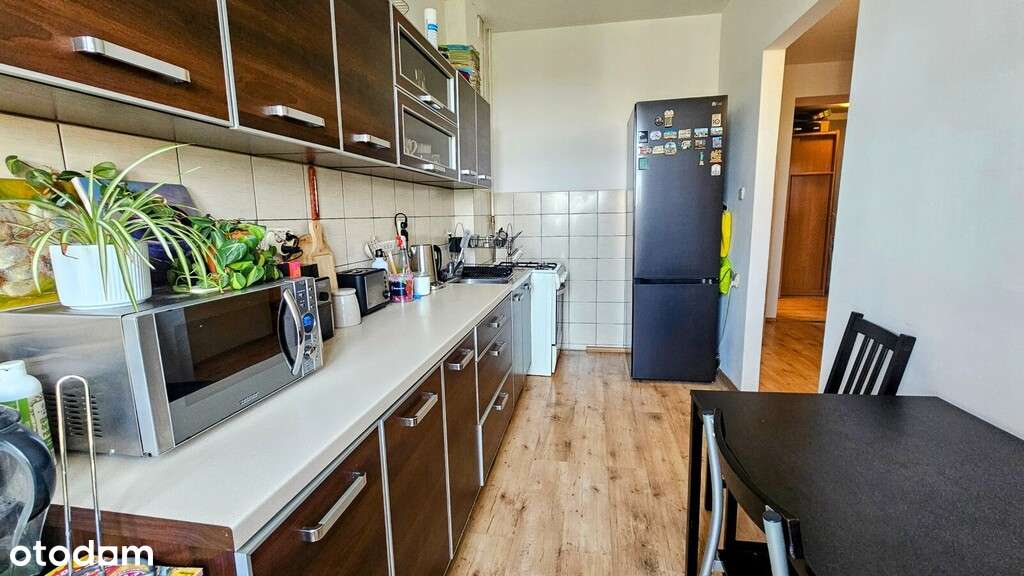 Wrocław Śródmieście Nadodrze 2 pokoje rozkład - Pełny obrazek: 4/20