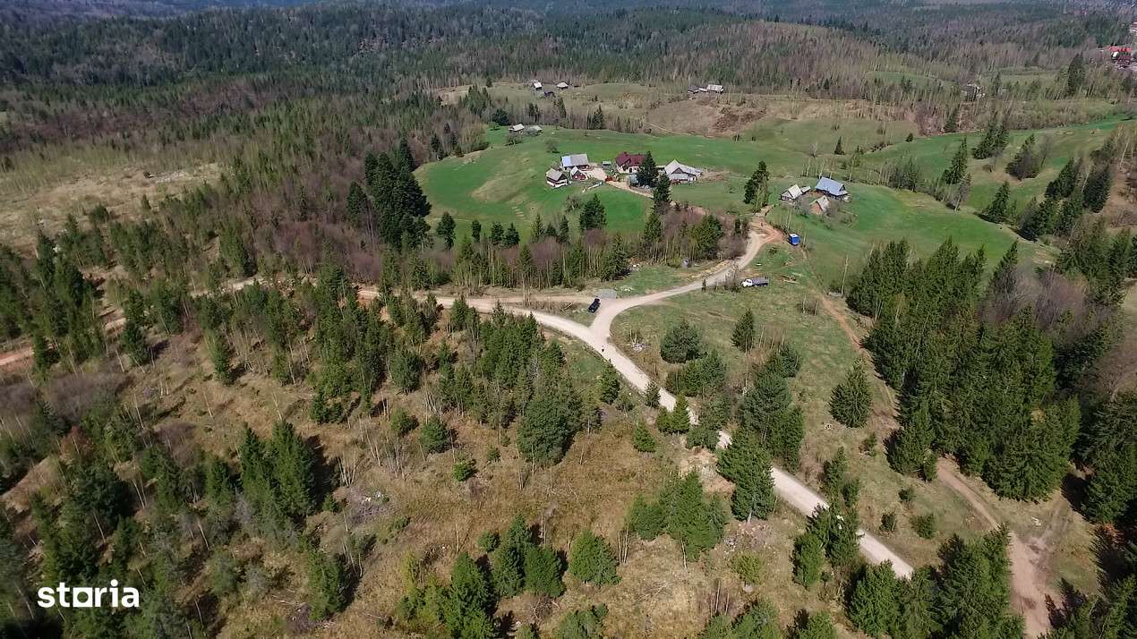 Teren intravilan 3,584mp Calatele Padure-5