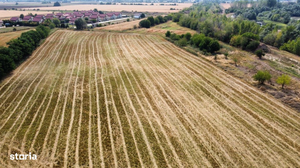 De vanzare Teren Intravilan Bolintin-Vale