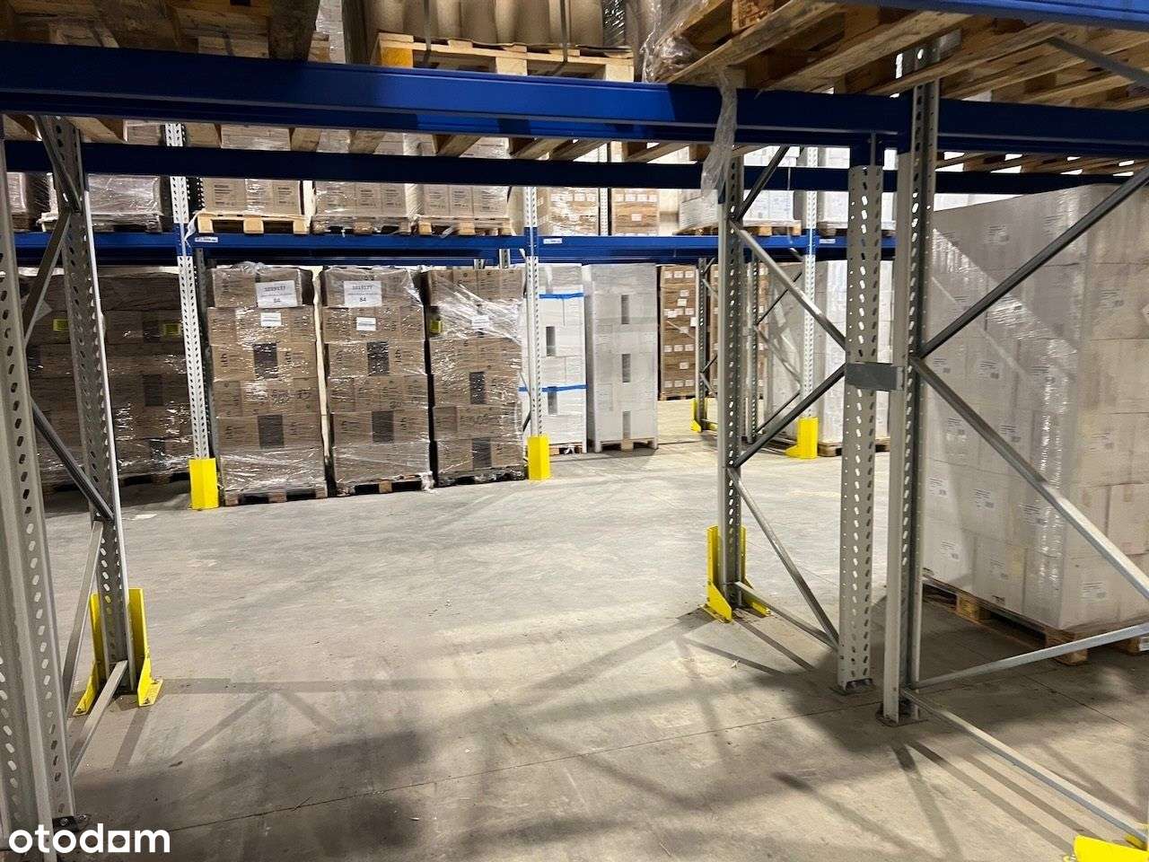 Atrakcyjna Hala blisko Aow - Pełny obrazek: 5/10