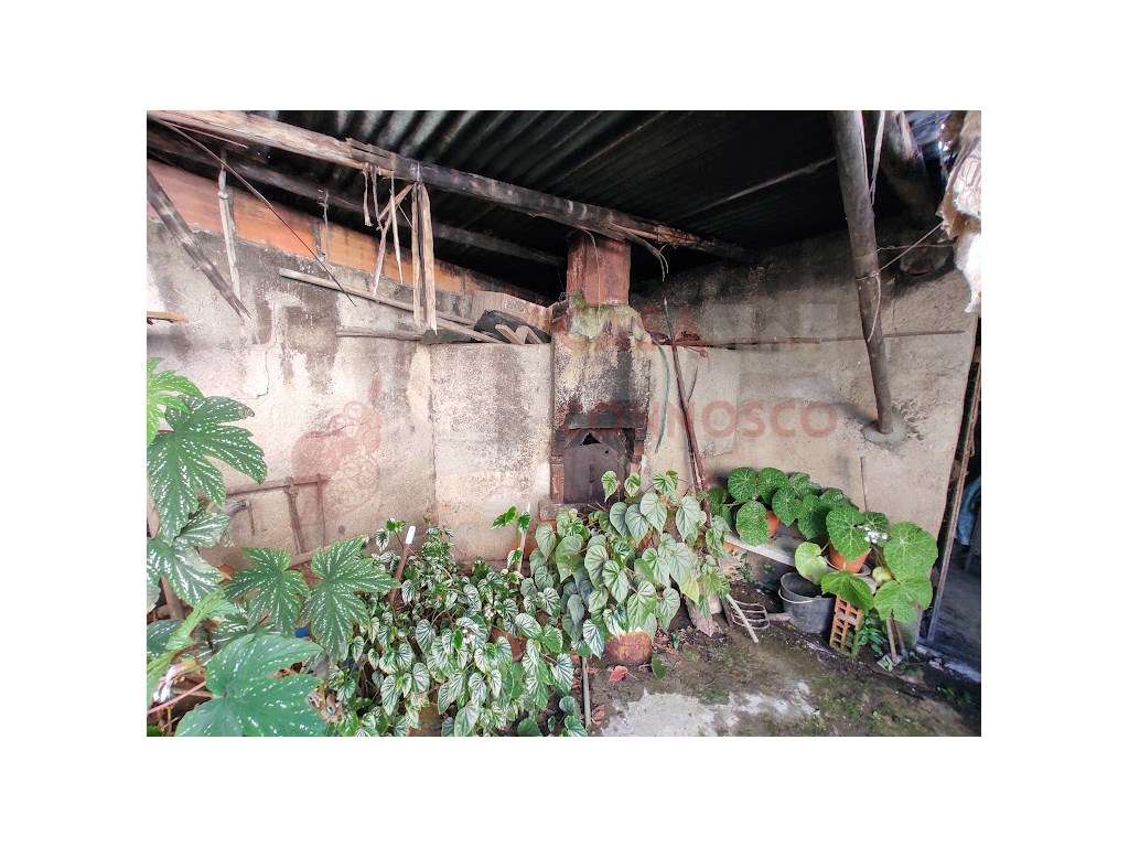 Moradia M3 com pátio e terreno com poço - Grande imagem: 4/17