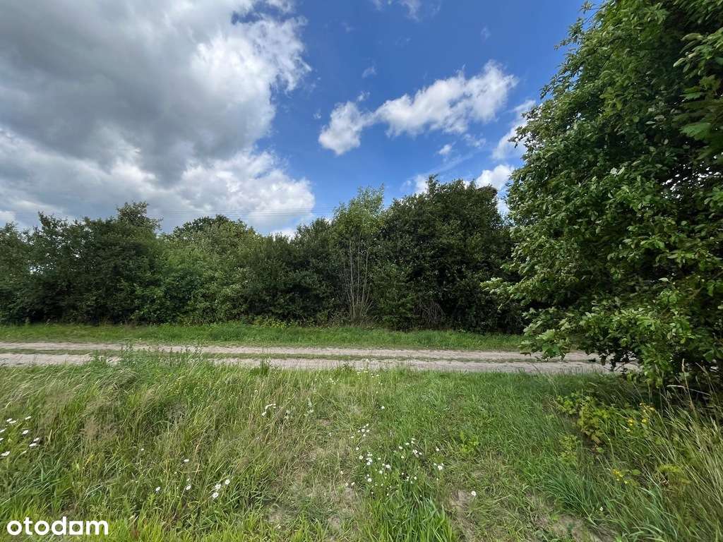 Sprzedam działkę 2400m2 Platerów - Pełny obrazek: 4/7