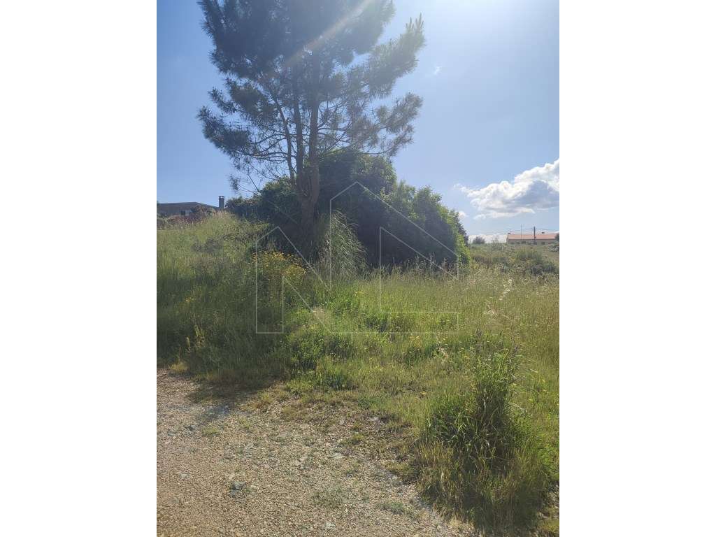 Terreno Urbano com 5.090 m² na Quinta de Assilhó - Albergaria-a-Velha - Grande imagem: 5/5
