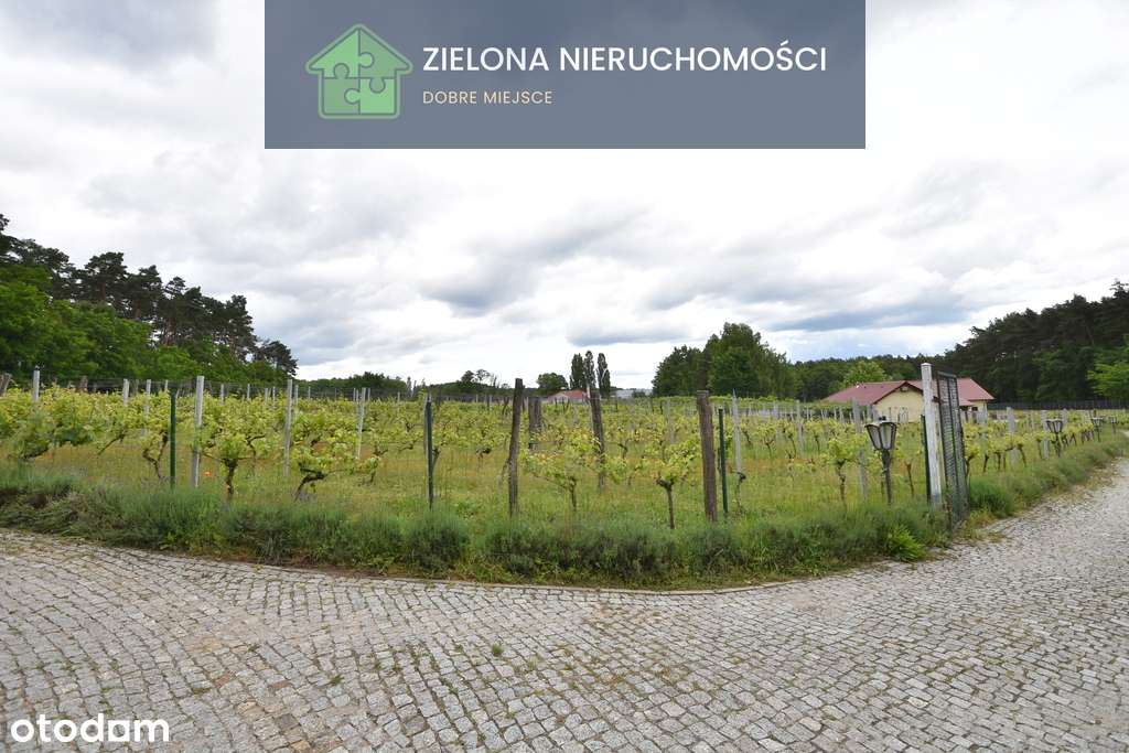 Posiadłość z winnicą w Zielonej Górze-5