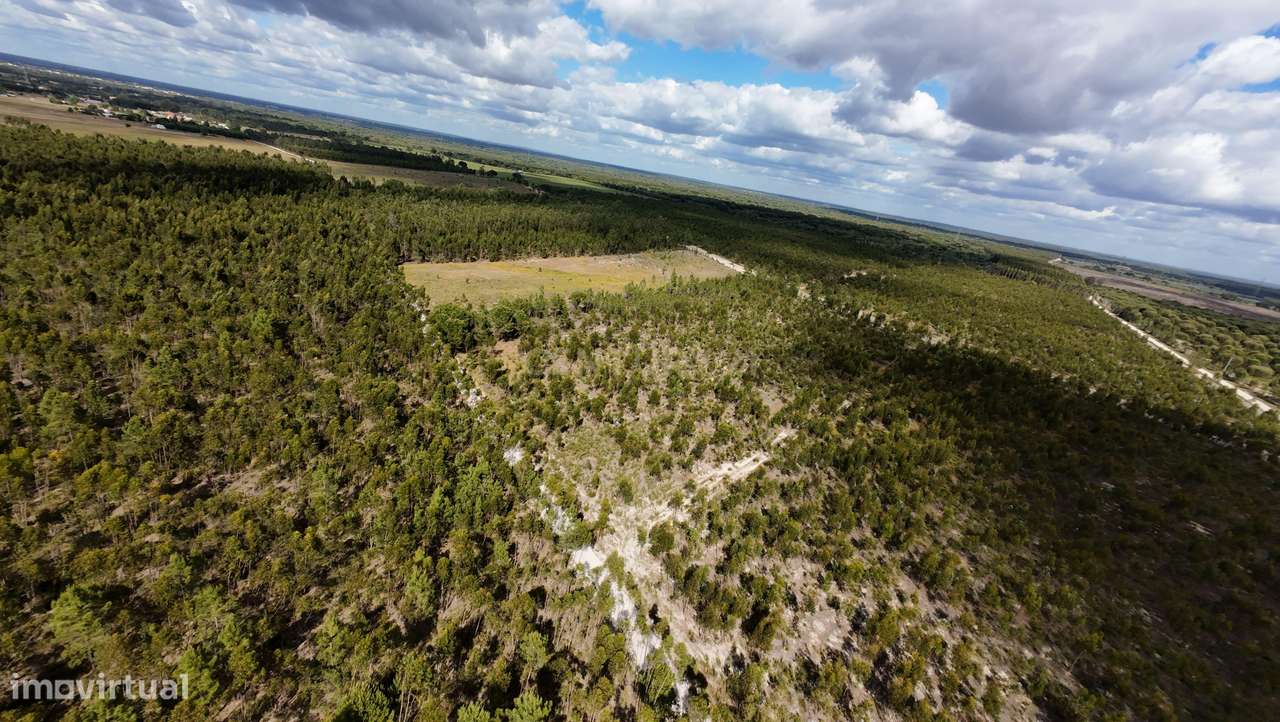 Magnifica Herdade Turística   em Santo Estêvão, Benavente-12