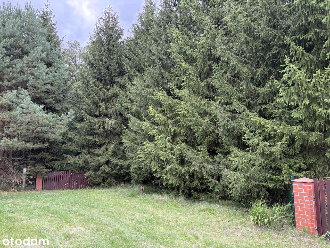 Wyjątkowy dom parterowy w spokojnej okolicy-13