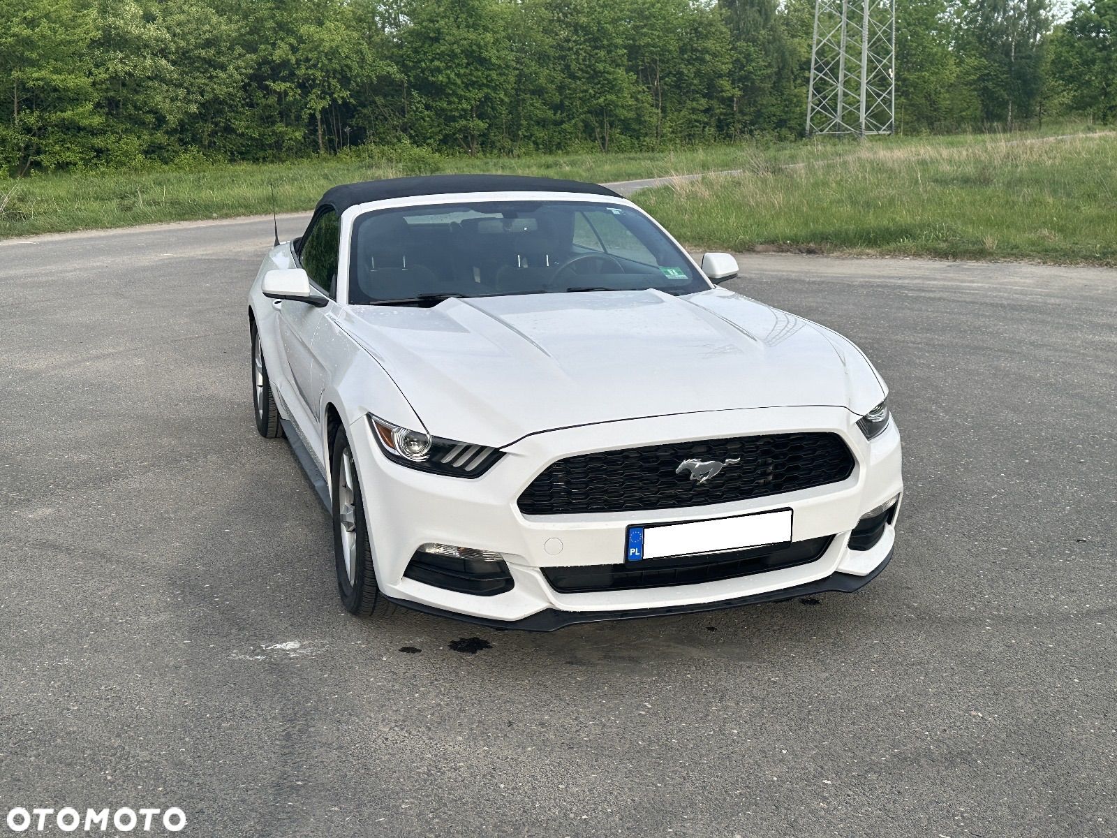 Ford Mustang - 1