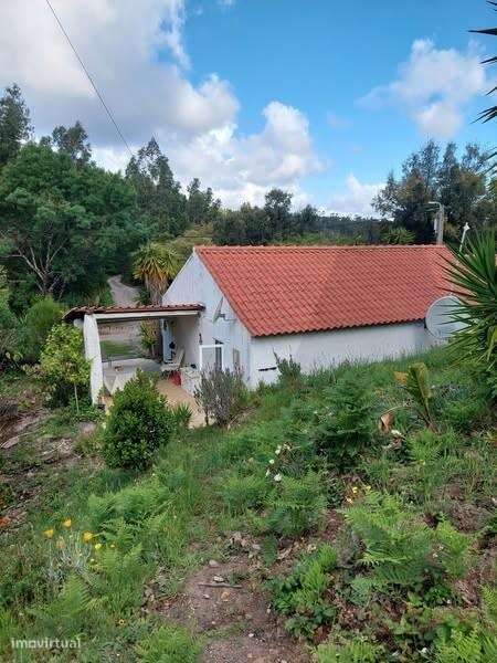 Moradia Térrea com 2,5ha em Monchique – Muita Água, Natureza e Privaci - Grande imagem: 4/29