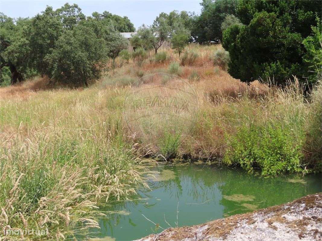 Quinta  para venda - Grande imagem: 4/40