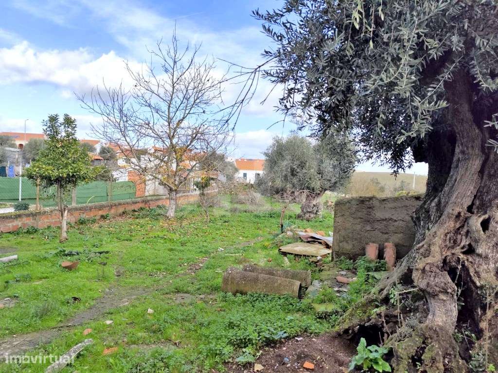 Moradia para recuperar com 600 m² de terreno - Monte do Trigo | Per...-18