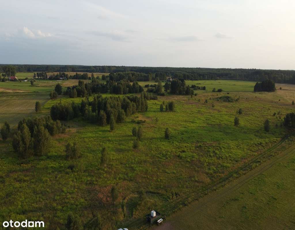 Obniżka!Działka rolna ok. 16 km od Nowogardu i ok. 30 km do Goleniowa! - Pełny obrazek: 5/9