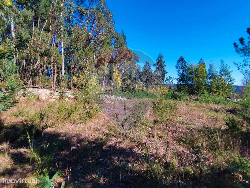 Terreno  para venda - Grande imagem: 5/8