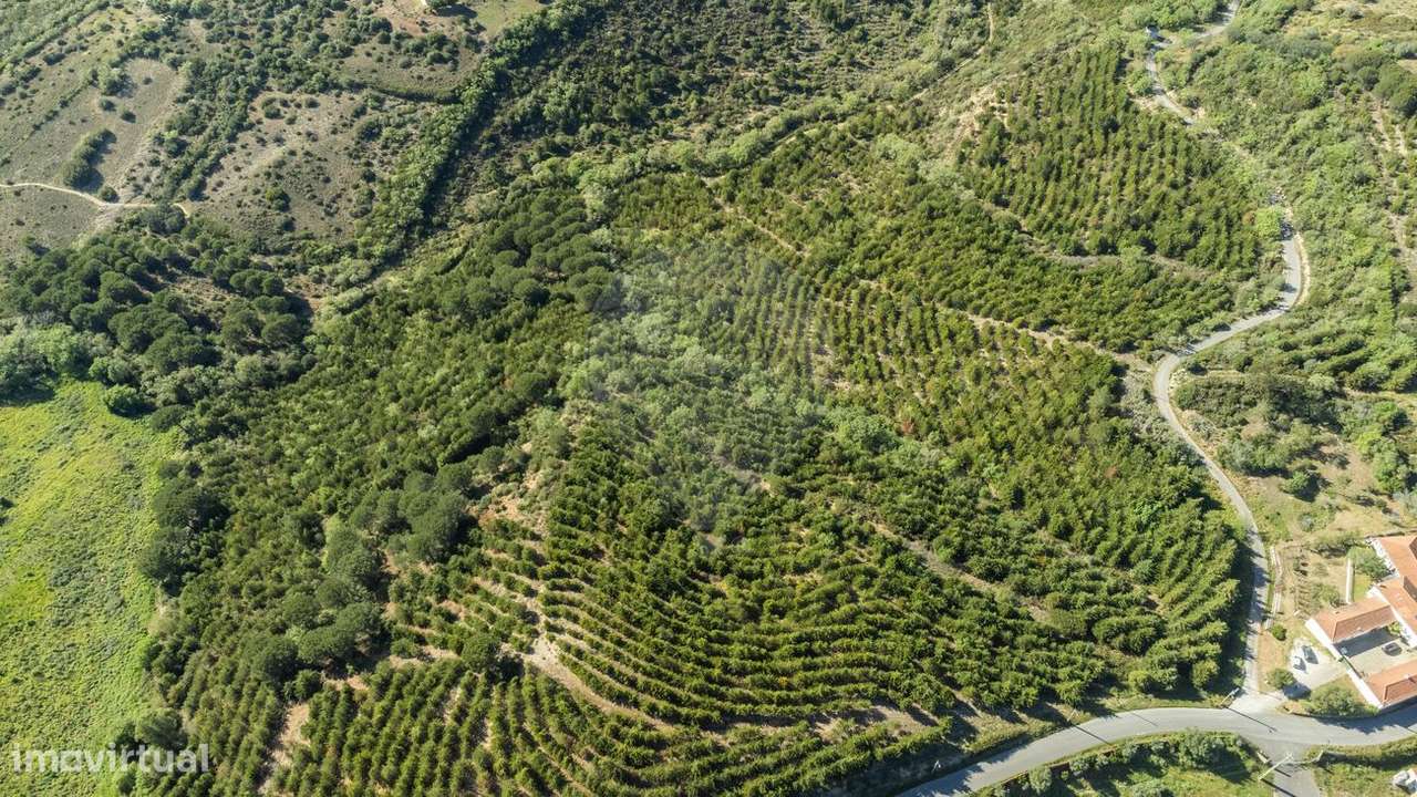 Terreno  para venda - Grande imagem: 3/3