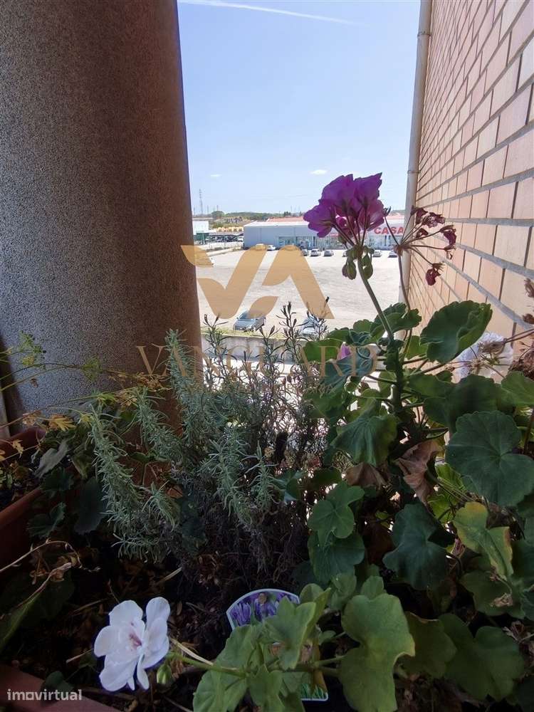 Apartamento T2 Venda em Póvoa de Varzim, Beiriz e Argivai,Póvoa de Var-33