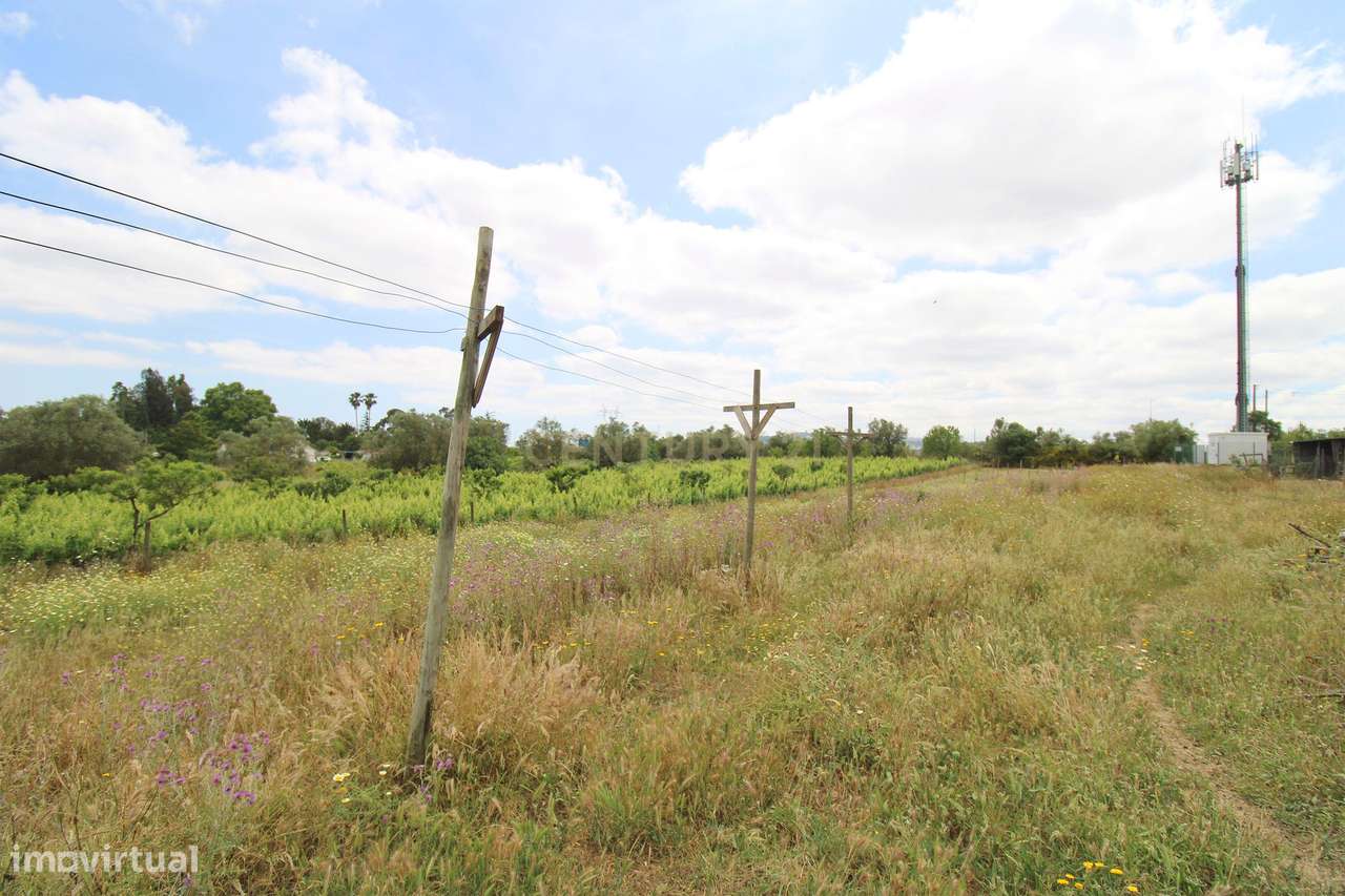 Quinta com Moradia Bi-familiar, construída num lote de 7.500 m2, em Pa-32